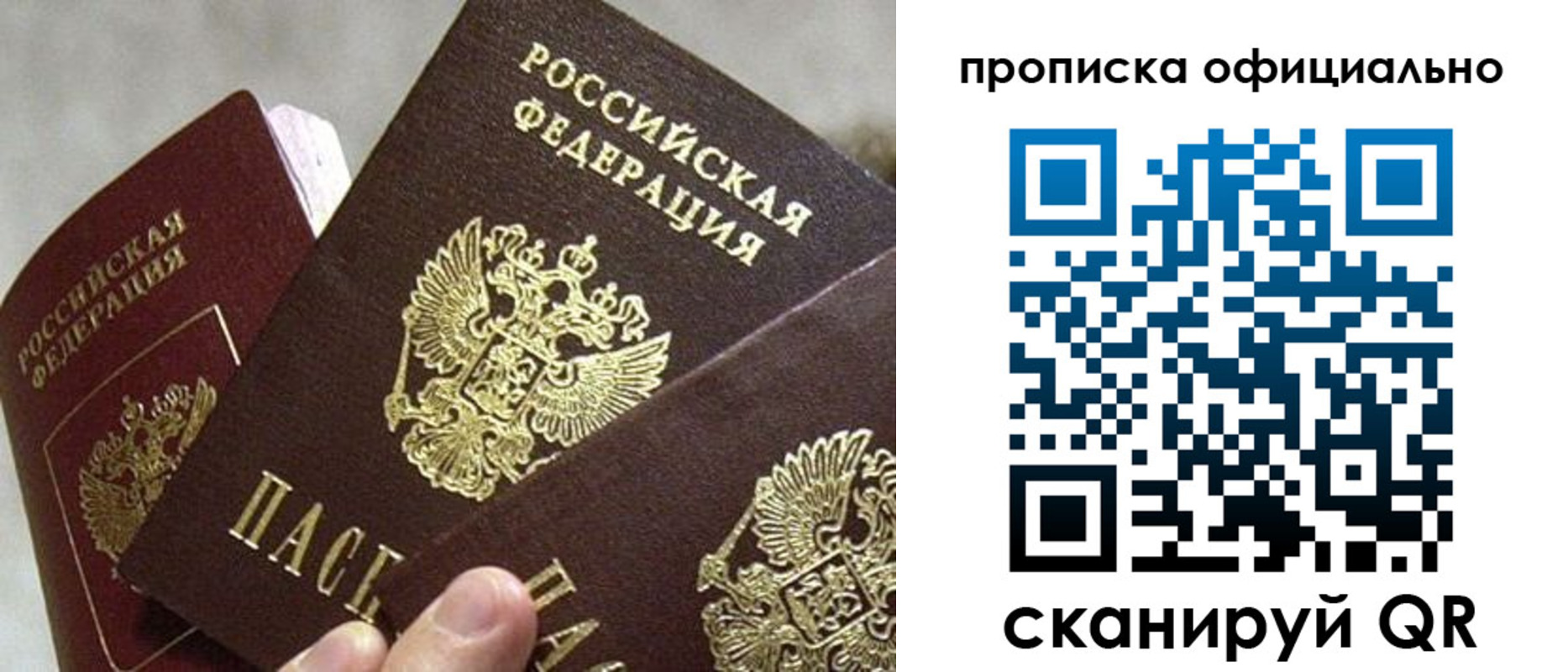 прописка гарантия в Щёкино